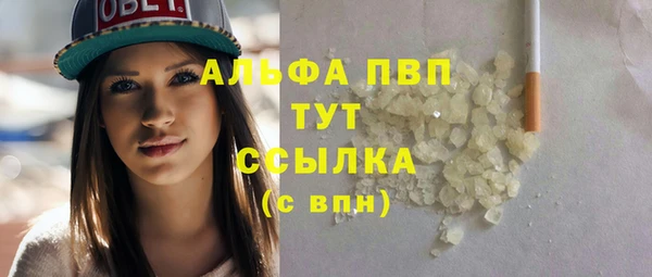 PSILOCYBIN Козловка