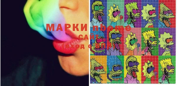 гашик Коряжма