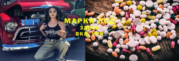 спайс Корсаков