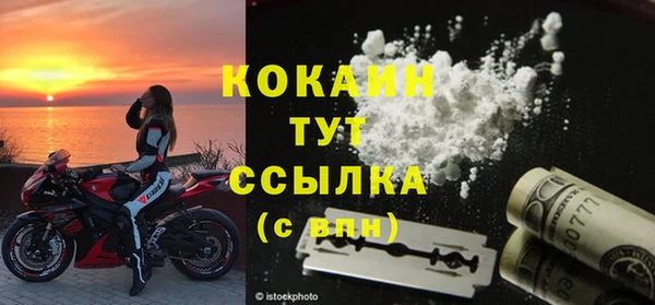 спайс Корсаков